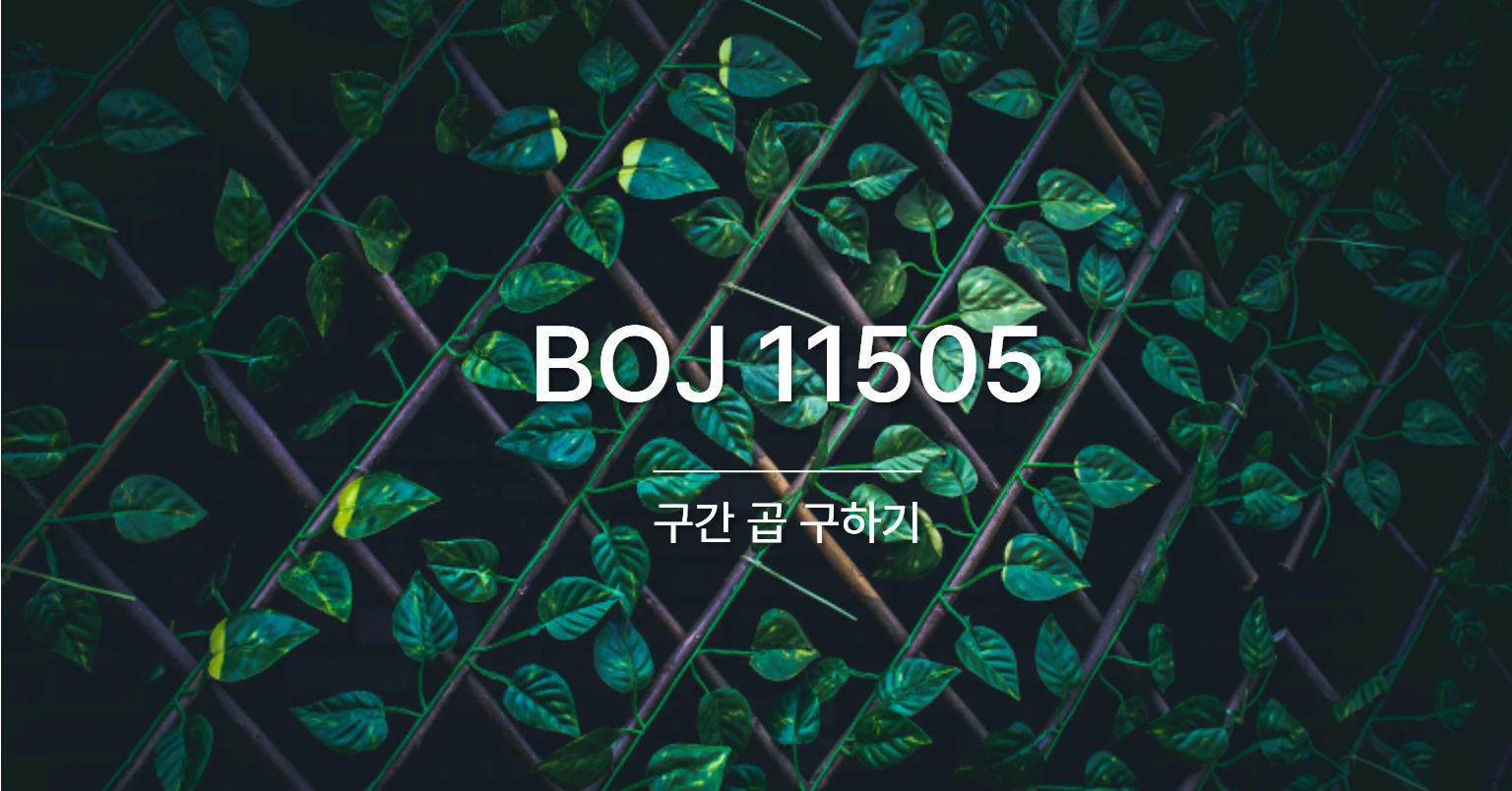 [PS] BOJ 11505 / 구간 곱 구하기