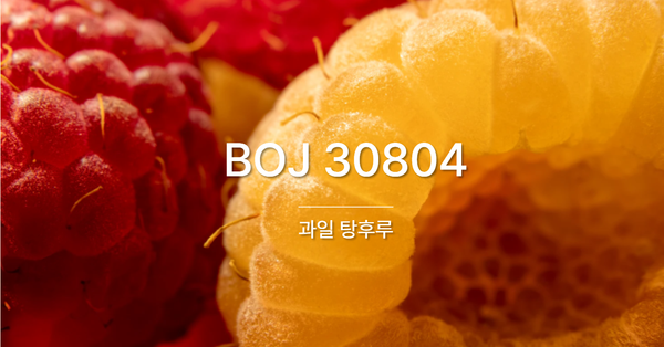 [PS] BOJ 30804 / 과일 탕후루