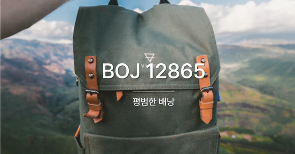 [PS] BOJ 12865 / 평범한 배낭