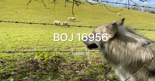 [PS] BOJ 16956 / 늑대와 양